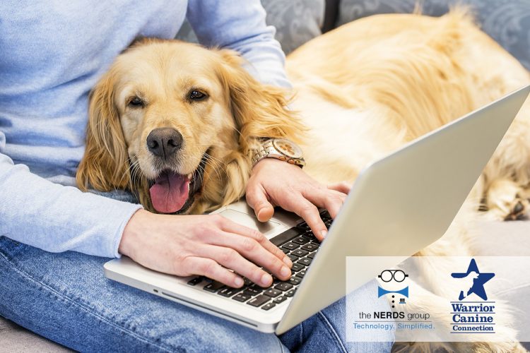 NERDS group provides free IT service for Warrior Canine Connection